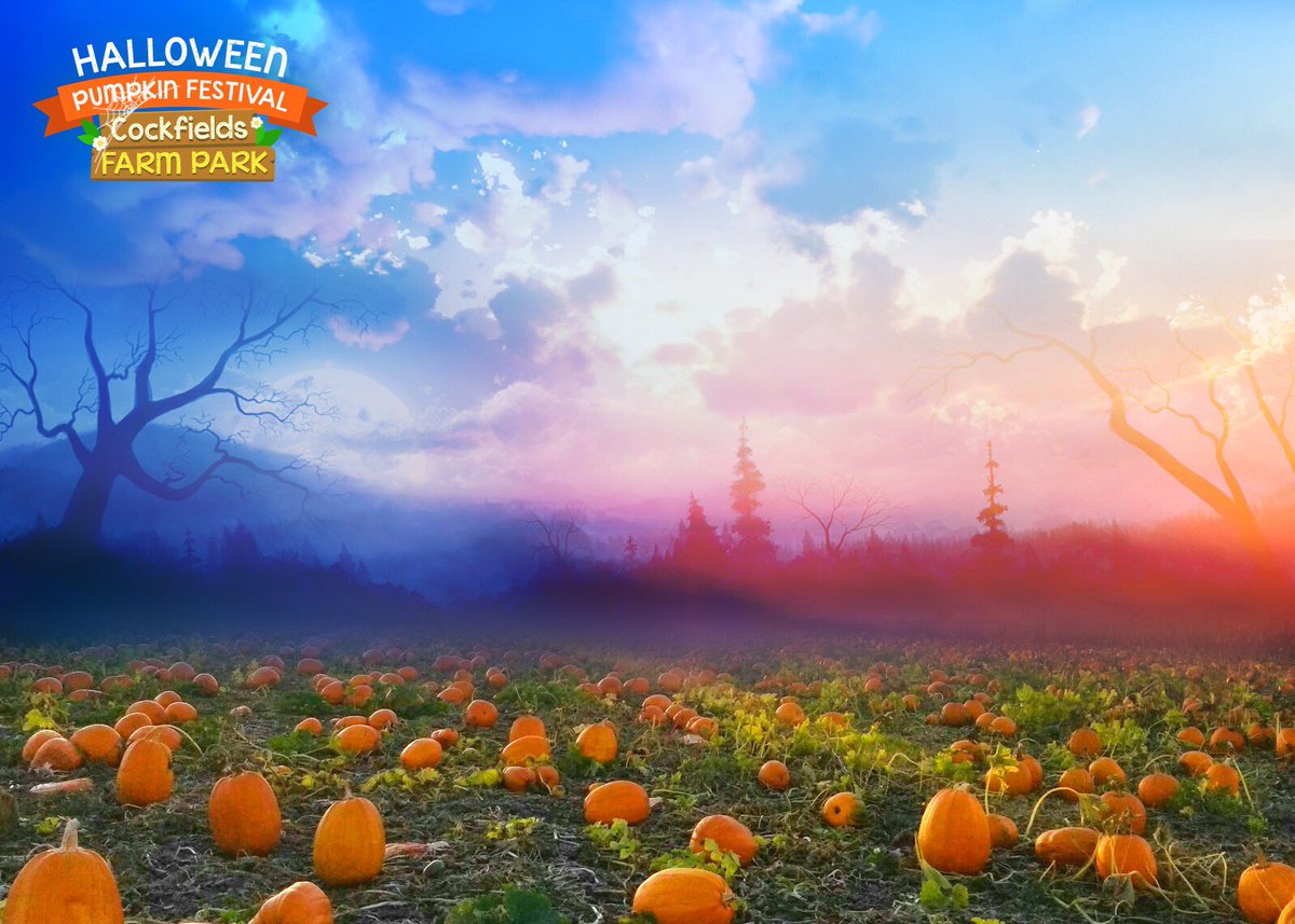 Pumpkin Festival 19th to 31st October