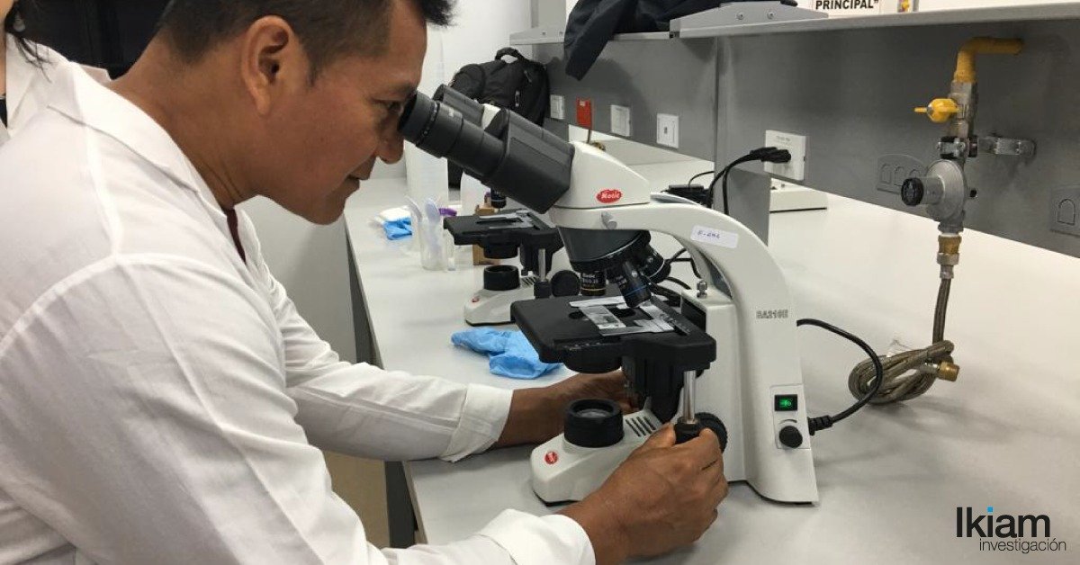 <a href="/UniYachayTech/">Universidad Yachay Tech</a> <a href="/espol/">ESPOL</a> <a href="/CEDIAec/">CEDIA</a> <a href="/AgriculturaEc/">Agricultura y Ganadería Ecuador 🇪🇨</a> <a href="/GoberNapo/">Gobernación de Napo</a> <a href="/EduSuperiorEc/">Senescyt</a> Patricio Andie, líder de la Comunidad Indígena de Atacapi, observa por primera vez, a través del microscopio, raíces de guayusa colonizadas por hongos micorrízicos arbusculares.