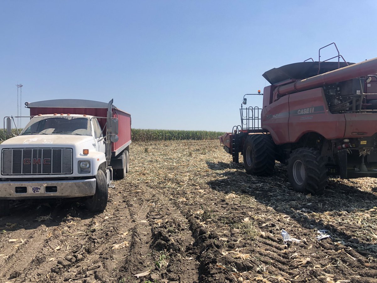 RonGehl's tweet photo. #harvest19 kicking off in northeast Kansas with some high moisture P1366AM running 200+ consistent on some tough Kansas terraces! Excited to get this harvest rolling. @HammesSeedInc @PioneerSeeds @RyanSteevesKS https://t.co/wdJoLpdYqE