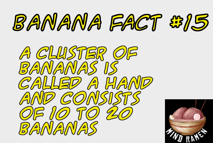 MindRamenGames's tweet photo. #bananafacts #illuminanner
#game #gamer #nerd #nerdlife #banana #mindramengames #mindramen #ramen #cardgame #cardgames #bananahammockcardgame #gamedevelopment #gamedev #indiedev #tabletopdev #tabletop #tabletopgames https://t.co/TtZSVGorNQ