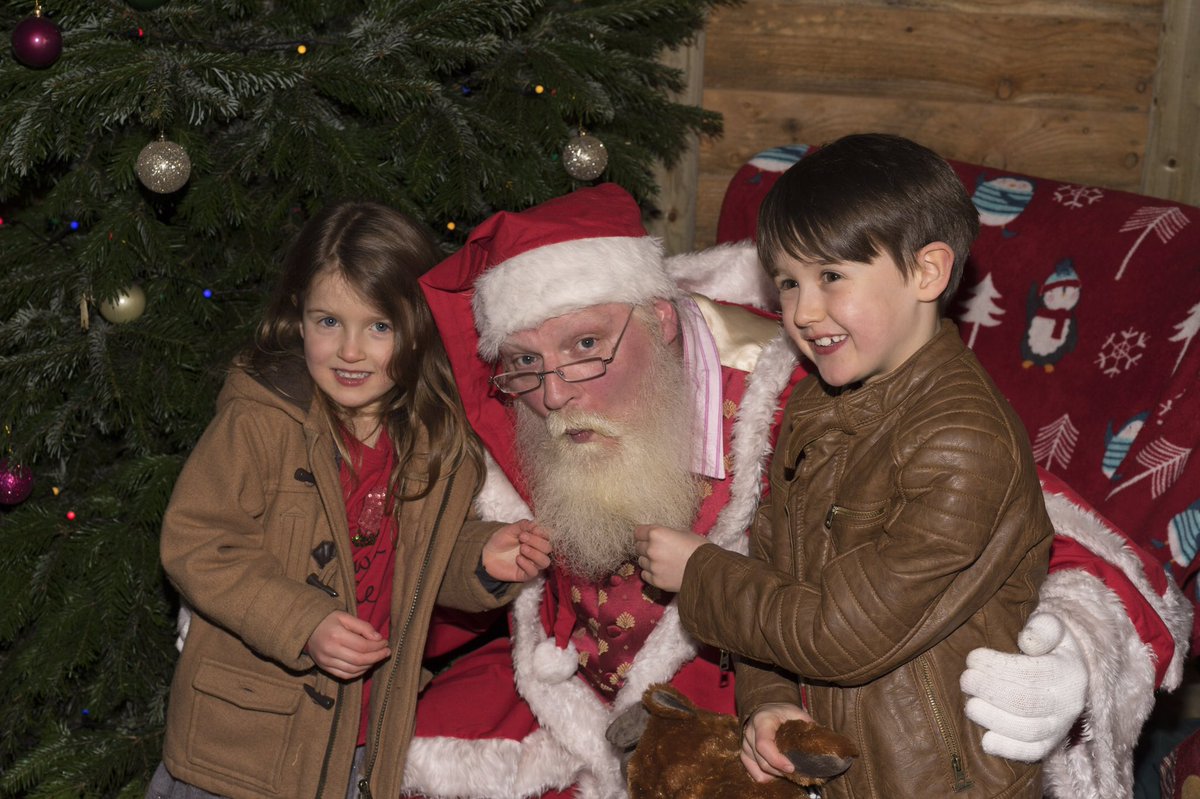 Cockfields Farm Park tweet media