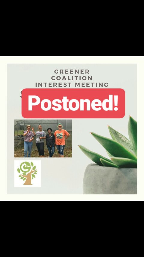 The Greener Coalition tweet media