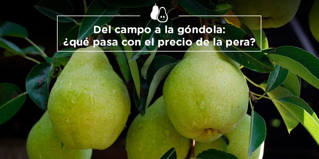 redcame's tweet photo. La pera fue el producto con mayor brecha en la cadena de comercialización en julio. Mientras que los productores recibieron $4.50 por kilo, el consumidor pagó en góndola $49.50, 11 veces más. ¿Cuánto las pagás en tu barrio? Dale RT y ayudanos a denunciar la distorsión de precios. https://t.co/IepNlJZ4cc