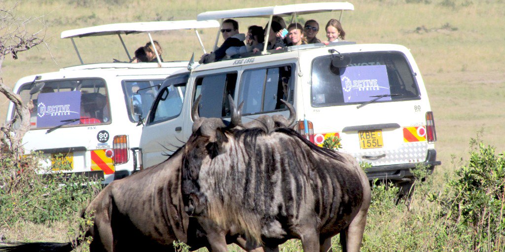 electiveafrica's tweet image. Africa is spectacular with its vast grasslands offering you a fantastic way to enjoy the mystery of its wildlife Elective Africa takes you there.
electiveafrica.com

#InternshipsAbroad
#TuesdayThoughts