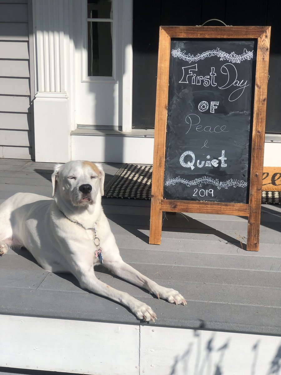 HighlandDivaG's tweet photo. School is back in session and Sara is happy about it! ๐ #peaceatlast #backtoschool #dogdaysarejustbeginning #dogdays #dognbone #houndmix #rescuepup #chilling https://t.co/6PI8V07Tsm