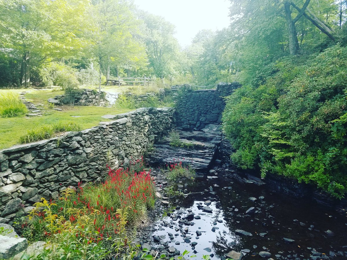 Jason Tockey on Twitter "Flowers along the bank of the creek Moore