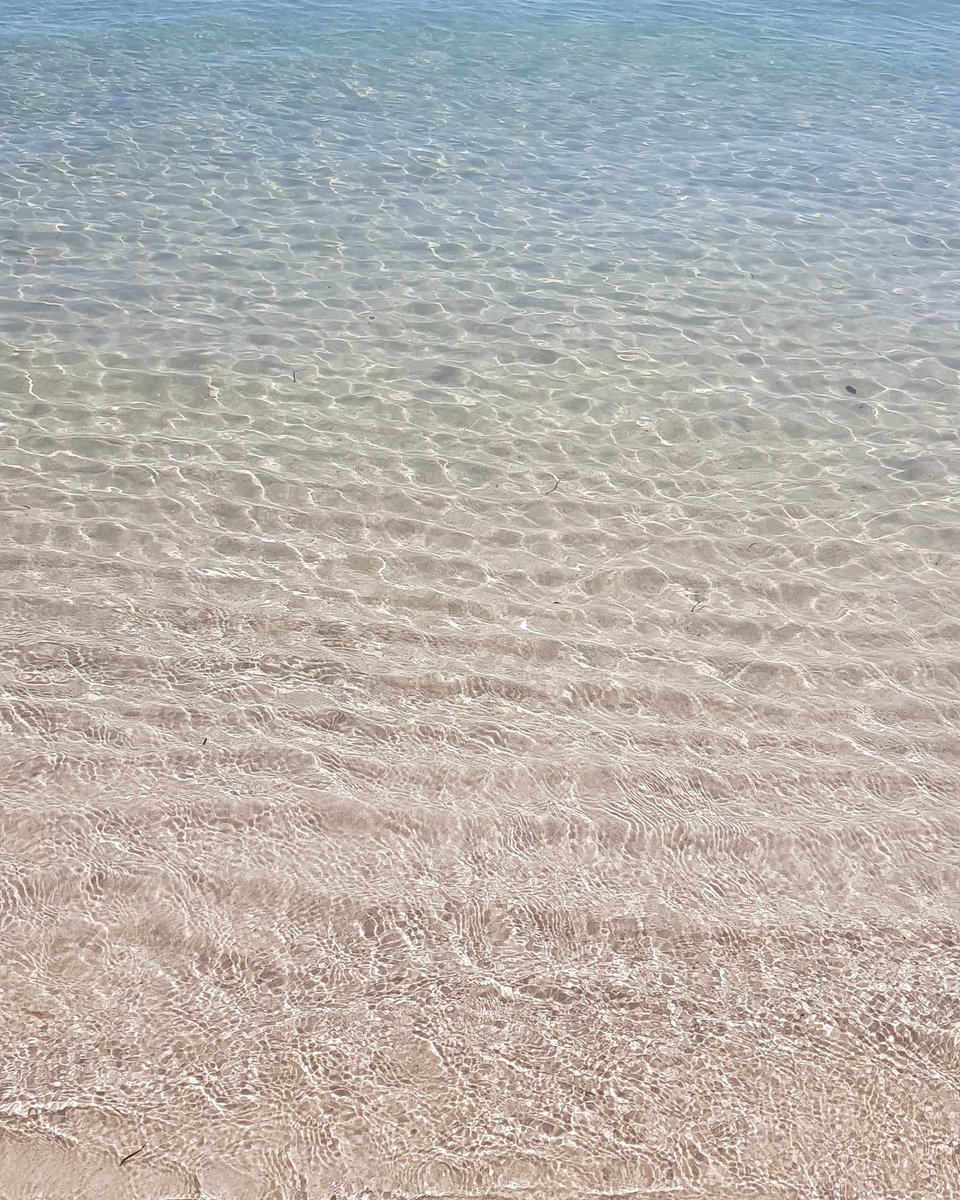 footsiephotos's tweet photo. Bribie Island water.  #bribieisland #beaches #shoreline #abcmyphoto #bribie #visitmoretonbayregion #mytown #discoverqld #visitbribieisland #woorimbeach #nofilter #myseqld #stormhour #focusaustralia #nature #thephotohour  #longman 
https://t.co/jadQujE4aS https://t.co/tMB4N6Ivlf