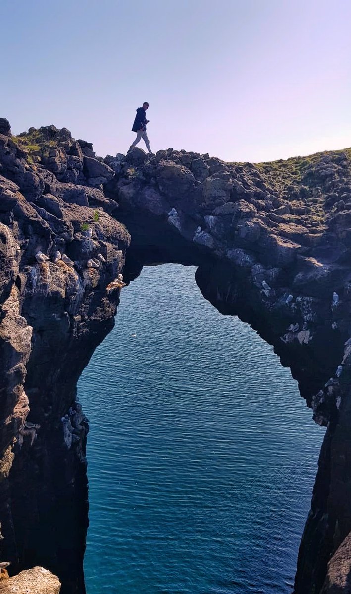 aleeexgr00's tweet photo. 🇮🇸🇮🇸🇮🇸 https://t.co/Km4Z8GOq5p
