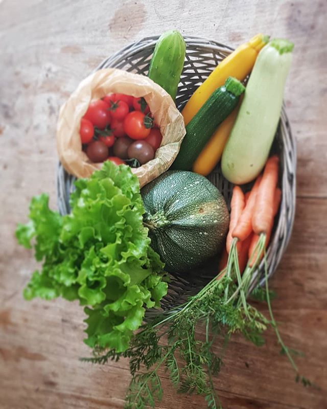 alaubefarm's tweet photo. Le panier bio qui fait plaisir ! #mangerlocal #agricultureurbaine #panierbio #gasap https://t.co/yQPGR1fMae https://t.co/Zt39e56ZPE