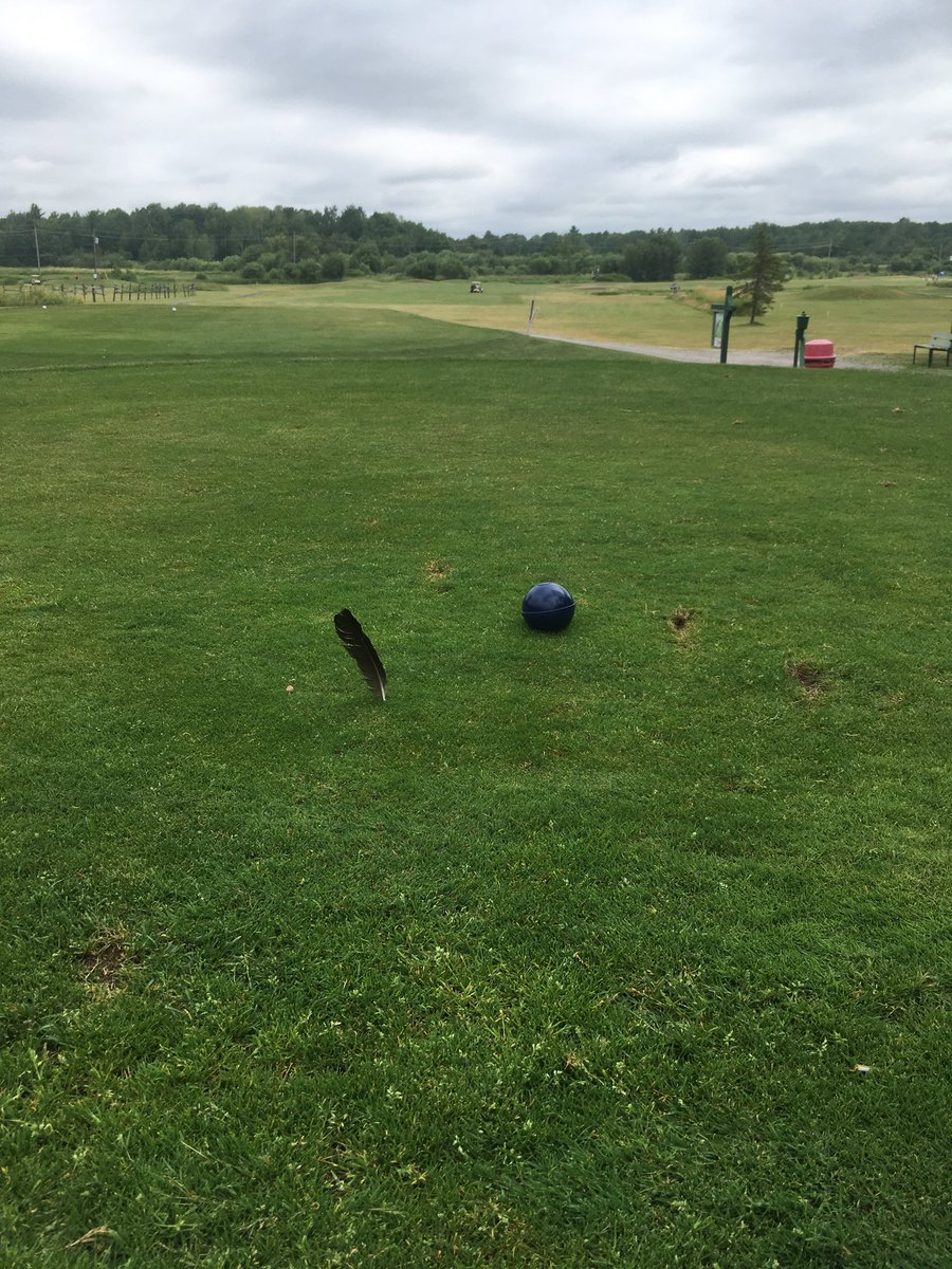 Plant a feather, grow a birdie. #abp #alwaysbeplanting ⁦@OspreyLinks⁩ ⁦@RJHatanaka⁩