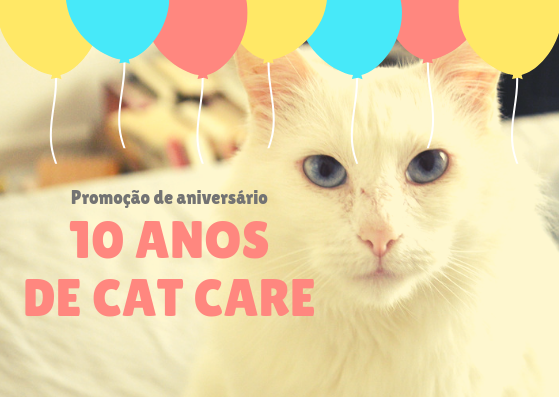 CatCareService's tweet photo. Aproveita a nossa promoção de aniversário de 10 anos e corre lá fazer sua reserva com a gente!

Saiba mais em nosso site https://t.co/M0iInuhaFY ou enviando um email para contato@catcareservice.com.br.

Abraços e ronrons! 😻 https://t.co/M1YzesyrDT