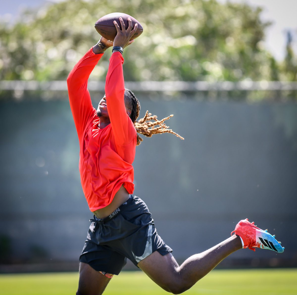 DB Precision tweet media