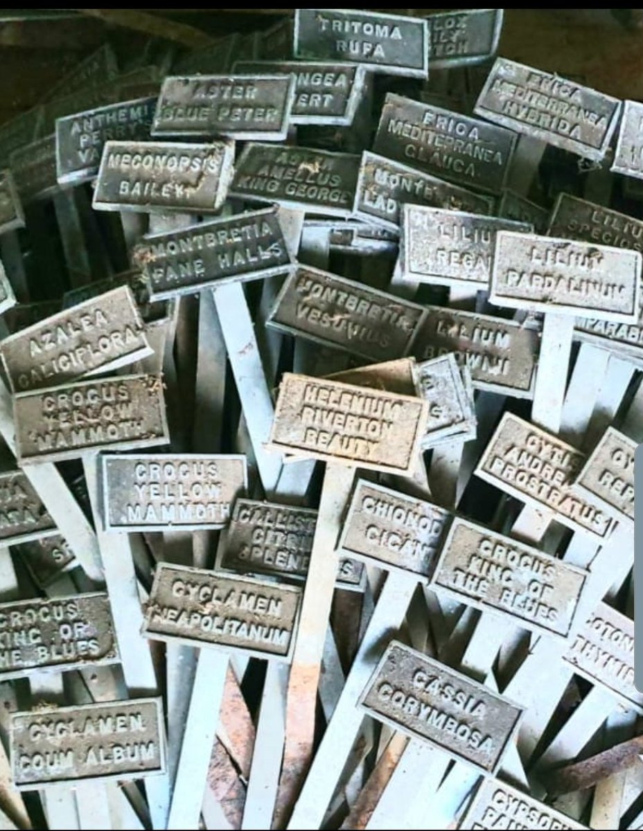 The wonderful botanical heritage of our garden is recorded through these cast metal identification tags languishing in the potting shed. 
The past providing a template for the future.
m.facebook.com/story.php?stor…