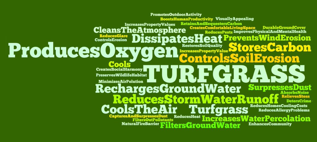 TURF QUEENSLAND tweet media