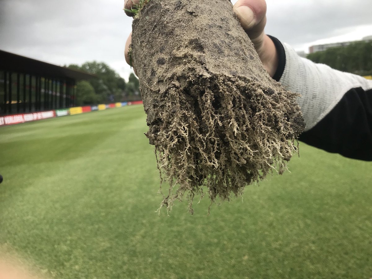 TURF QUEENSLAND tweet media