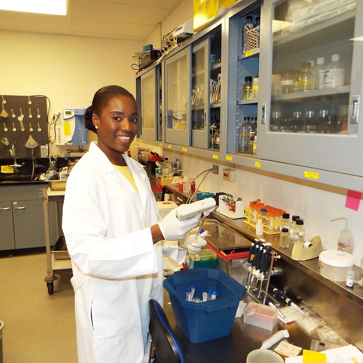 Bridge to Doctorate tweet media