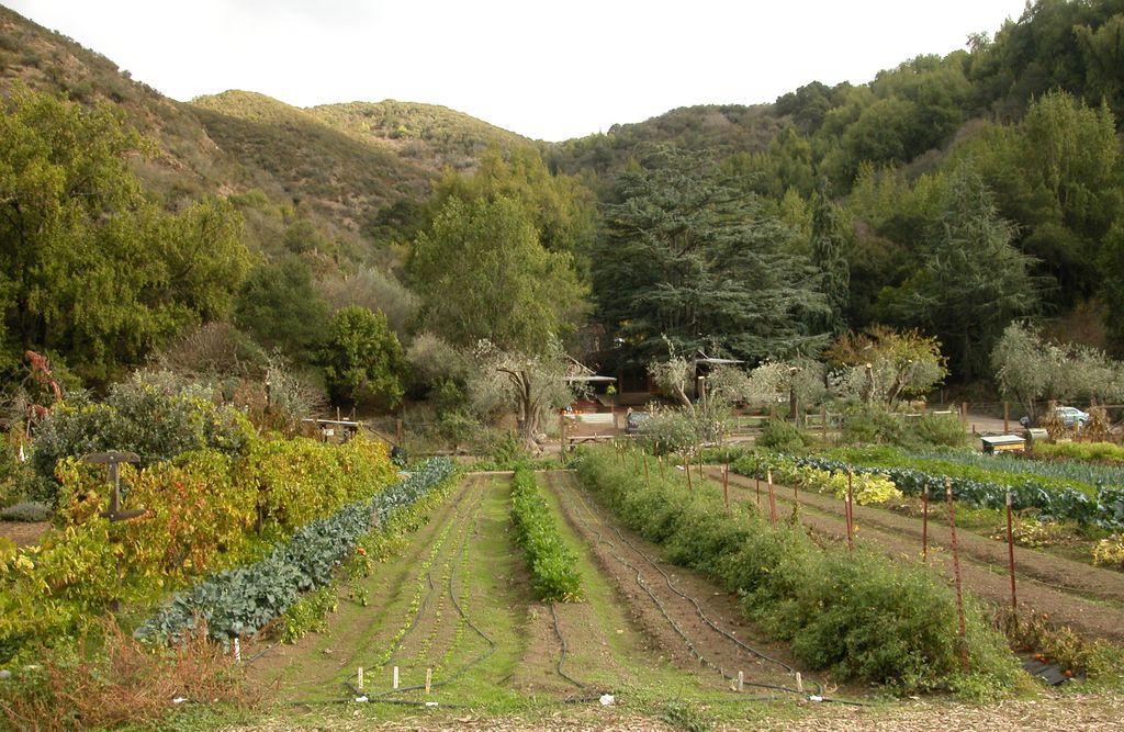 Hidden Villa tweet media