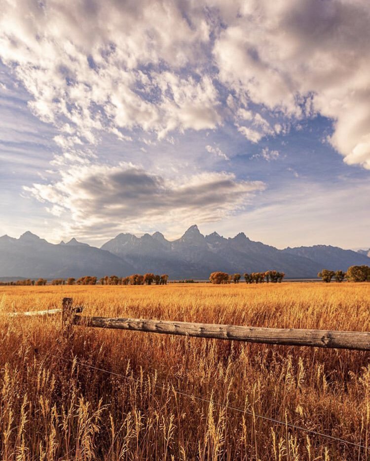 JH Style Magazine tweet media