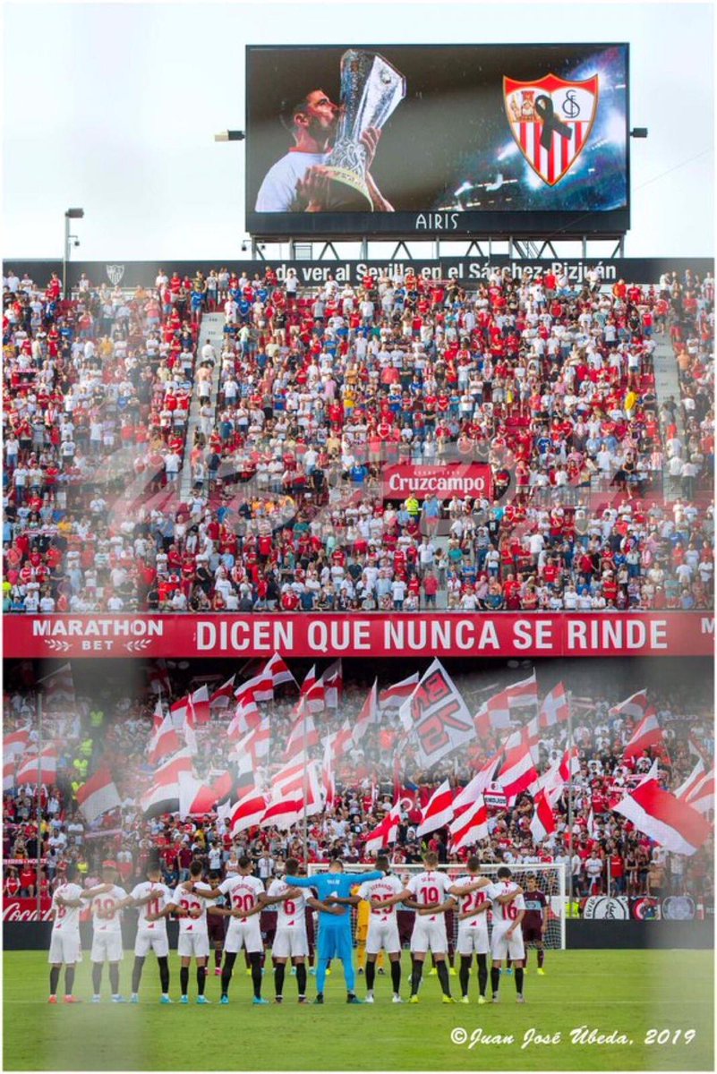 Edu Saniña tweet media