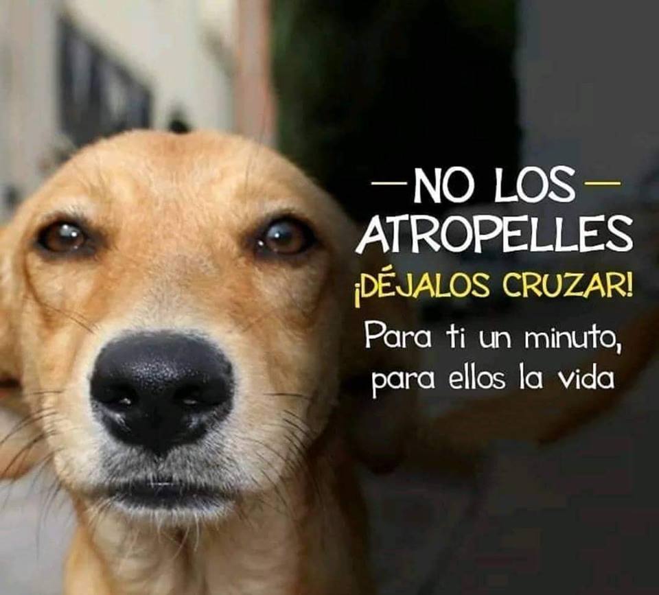 V2_N_St0's tweet photo. @Mayorga555 @LiliBodo @SabathVictor @Fer_M66 @mvf7186 @SiscoMGWV @MiDulcePasion__ @VictoriaD6363 @VicJoker84 @Carla56725378 @AlexAngelMont97 @SergioA60798547 @jet_new @insaurraldeh @9339Wingmen @Bilal123x @llx1lv @Lily_Tmlily @Mia__Emy @Erica_Dhan @Zzz__MGWV @S_Ph_A_ @jrplourde @adityasingh7865 @ManishP24604101 @CaipiraRanchao ╭🍃🌼🍃╮
  #Lily
╰🍃🌼🍃 ╯ 
╭🍃🌼 🍃╮ 
  #TMLILY
╰ 🍃🌼🍃╯

@mvf7186
@SiscoMGWV
@MiDulcePasion__
@VictoriaD6363
@VicJoker84
@SabathVictor
@V2_N_St0
@Carla56725378
@AlexAngelMont97
@SergioA60798547
@Mayorga555
@Fer_M66
@jet_new
@insaurraldeh
@9339Wingmen
@Bilal123x
@llx1lv https://t.co/XYzAkqzDCt