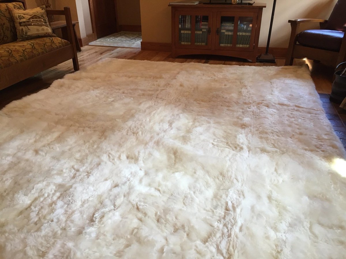 AlpacaPlush's tweet photo. Stunning 10 x 14 Hua Alpaca fur area rug in Pearl White. For the finest in luxury Alpaca fur home decor, apparel, and accessories. Visit us at https://t.co/UY3flIfrw6.
#furrug, #arearug, #luxury, #luxuryliving, #dreamhome, #dreamhomedecor, #highend, #USA, #repost, #share. https://t.co/5jYdFkNVv4