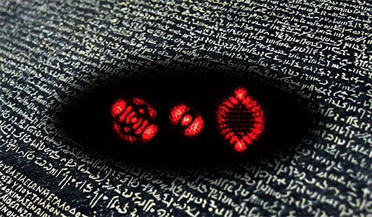 UQ News (@uq_news) on Twitter photo Secret quantum alphabets could revolutionise how secure communication networks are built and utilised, according to a #UQ <a href="/UQscience/">UQ Science</a> researcher Michael Kewming.
tinyurl.com/yxwfbdbj Secret quantum alphabets could revolutionise how secure communication networks are built and utilised, according to a #UQ <a href="/UQscience/">UQ Science</a> researcher Michael Kewming.
tinyurl.com/yxwfbdbj
