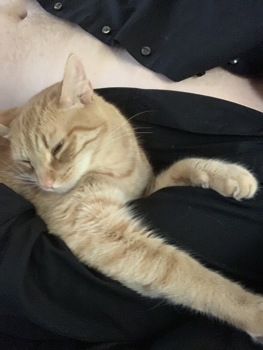 Cloud___Envy's tweet photo. My boi :3 https://t.co/OaZsRTXeN6