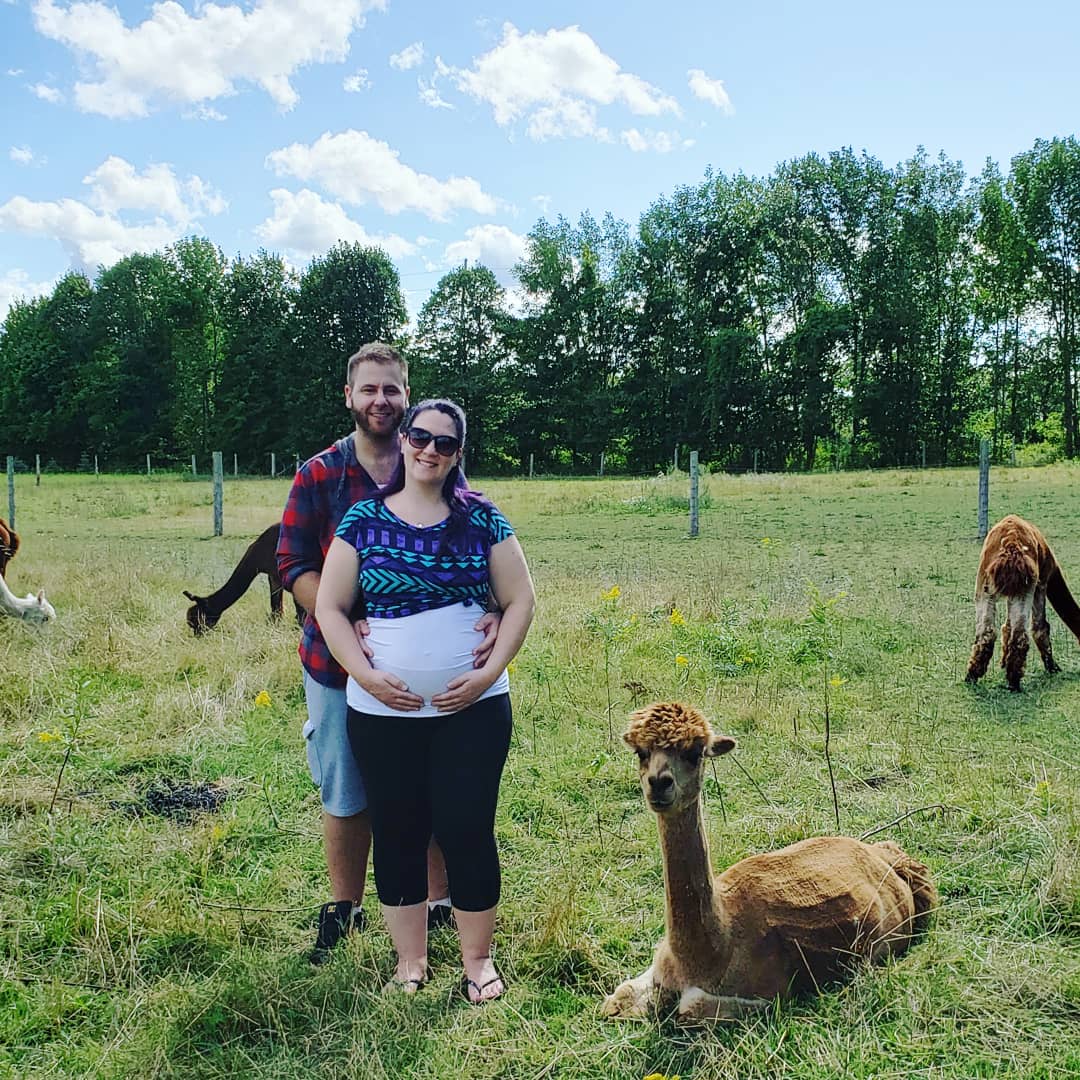 fairenbalogh's tweet photo. Mini baby bump sesh with Momma & Dadda at one of our favourite places!! 🤰🏻💋🦙
#babygirlBalogh #bumpupdate #bumppic #bumpalert #bumpday #pregnancy #pregnant #husbandandwife #bumpshoot #alpaca #alpacafarm #ABabyfortheBaloghs #ivfjourney #ivfsuccessstories #ivfsuccess #fetsuccess https://t.co/UxlJ6ATFrx