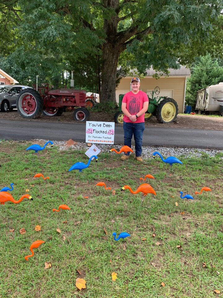 FlockersPhs's tweet photo. At it again! Whoβs next?? #phsfootballflockers #parkviewfootball #gotflocked https://t.co/YT1YaZpAp0