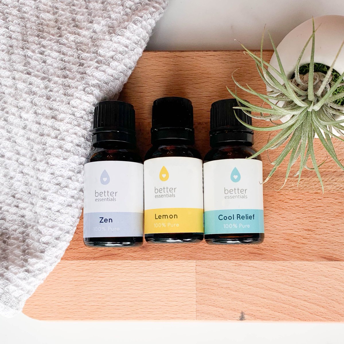 betteroils's tweet photo. 🍋 Want $73 of Oils for $29.99? 🍋Save over 50% when you join the Oils of the Month Club for September!

https://t.co/nqLhYTzWGv https://t.co/WzeKpmgAT2
