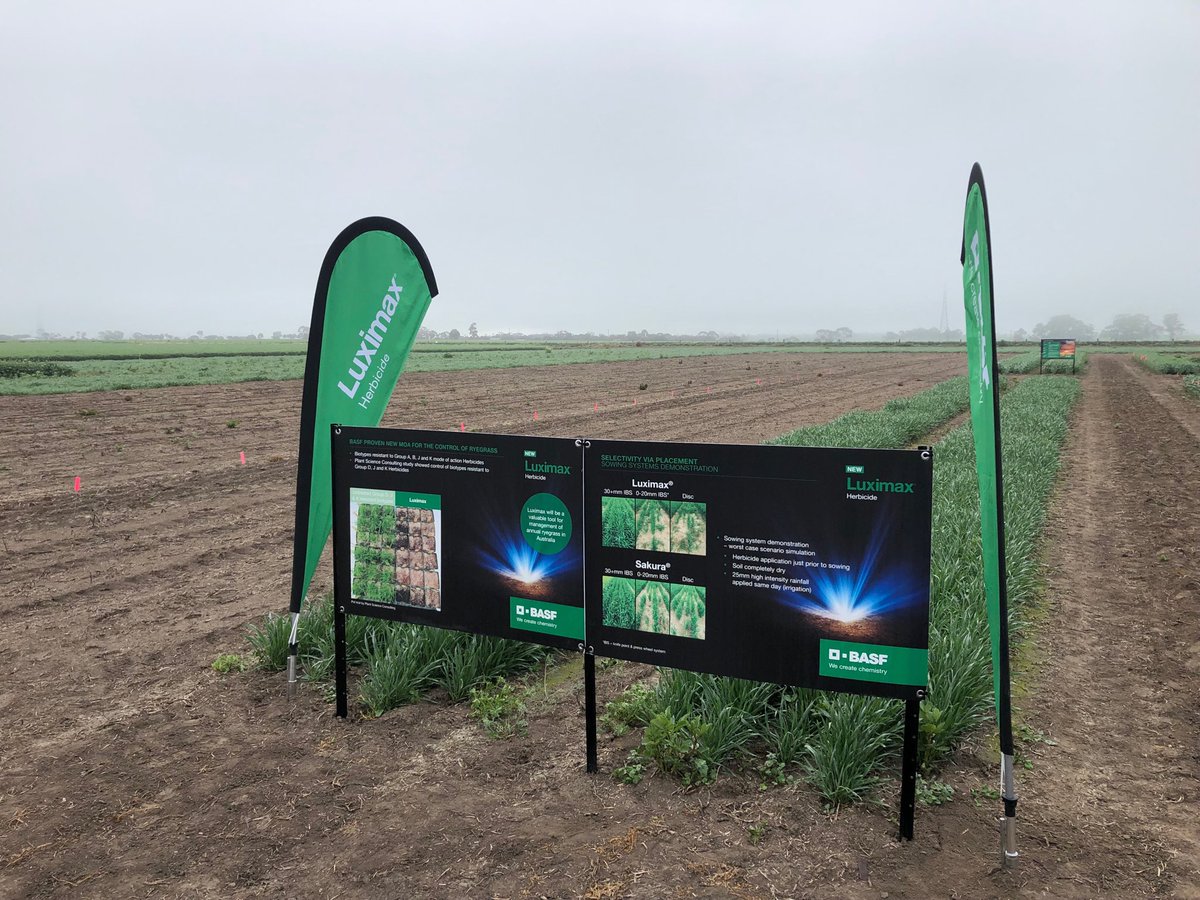 LouwEduard's tweet photo. Misty morning at the #BASF innovation site @Longerenong. #Elders looking at #Luximax #Voraxor #Frequency and #Truflex Canola seed from #BASF.⁦@ash_knight89⁩ ⁦@RachelCYYZ⁩ ⁦@jdwb84v8⁩ ⁦@Mookas_19⁩ ⁦@GavinJacksonAg⁩ ⁦@GArbon17⁩ ⁦ https://t.co/d8U6X3OwcO