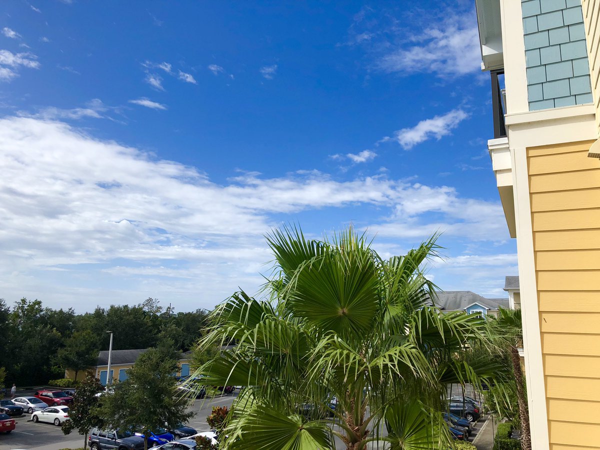 timmyjacquez's tweet image. My family: “Keep us updated and stay safe during the hurricane”
Me keeping my family updated: