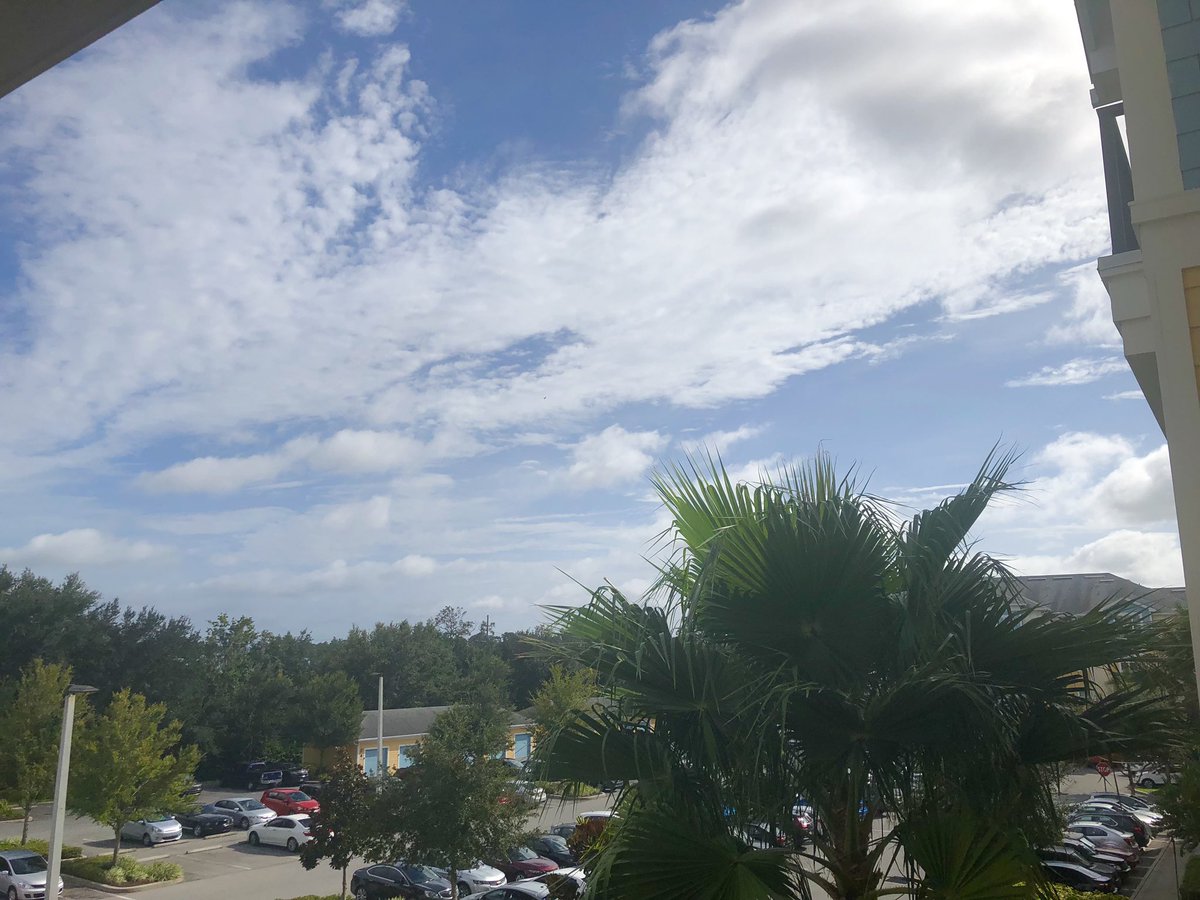 timmyjacquez's tweet image. My family: “Keep us updated and stay safe during the hurricane”
Me keeping my family updated: