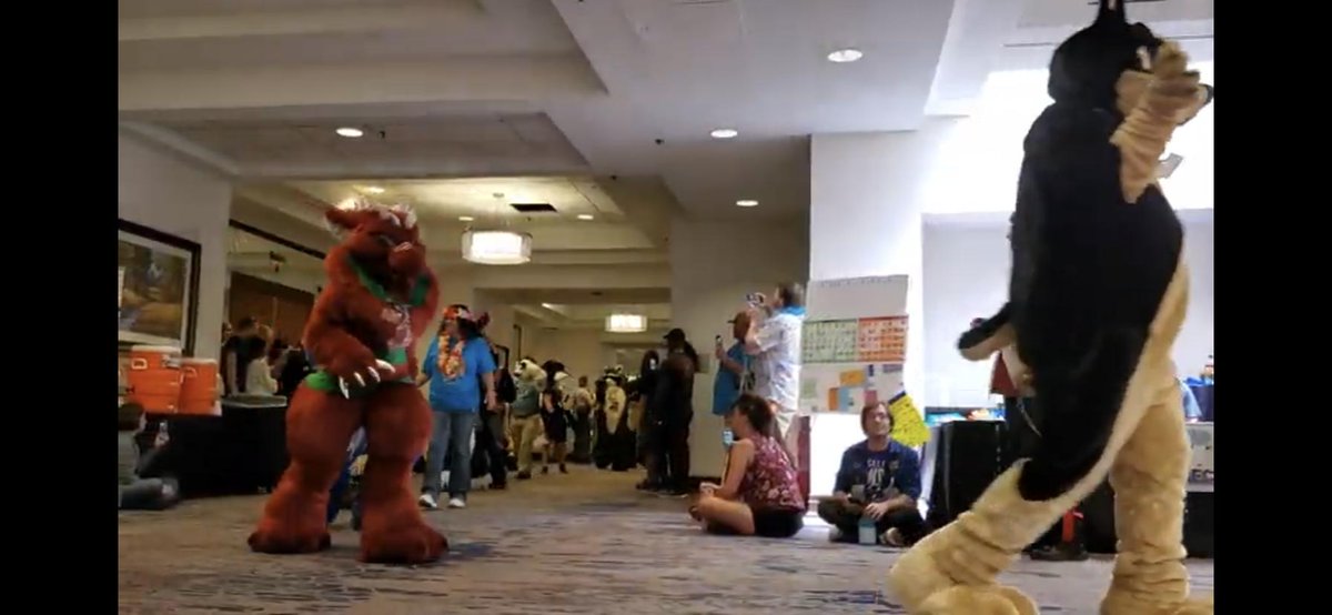 Bogey_Shep's tweet photo. The ever elusive Freddy in his natural habitat. https://t.co/2a4Us1TRr0