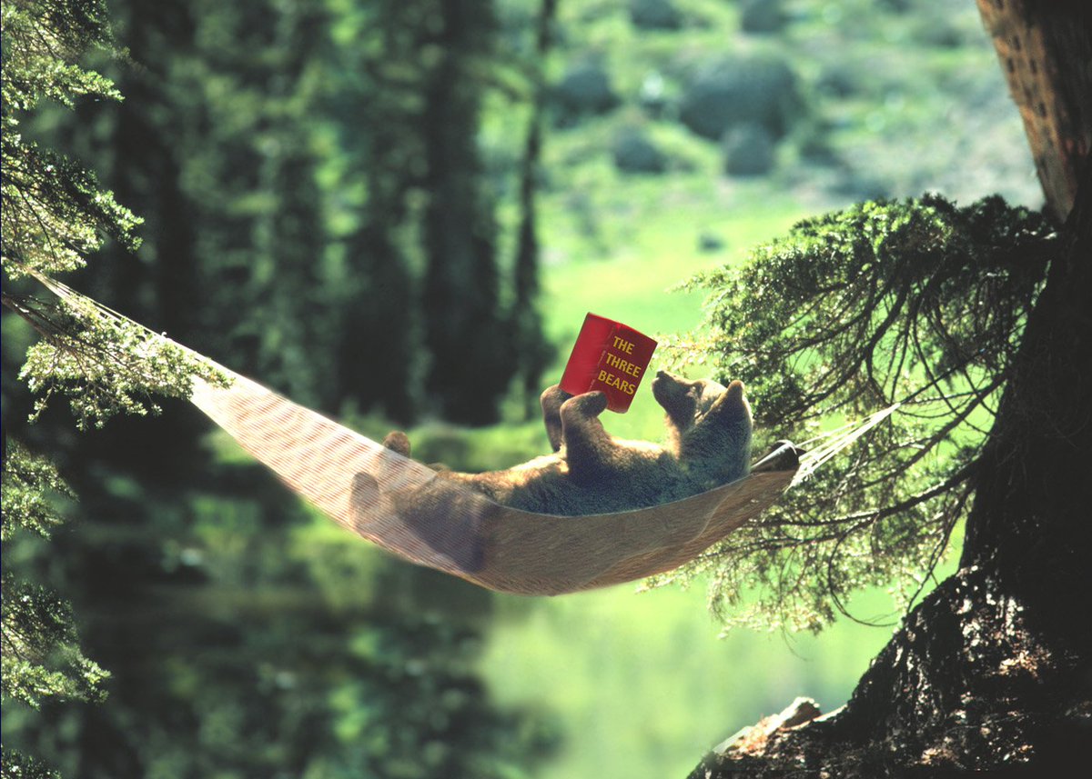 A good book will captivate anyone or anything. 😋 Get your copy of, "The 51st Directive" by yours truly today! 😉
#Read #GreatBook #SillyBear #Funny