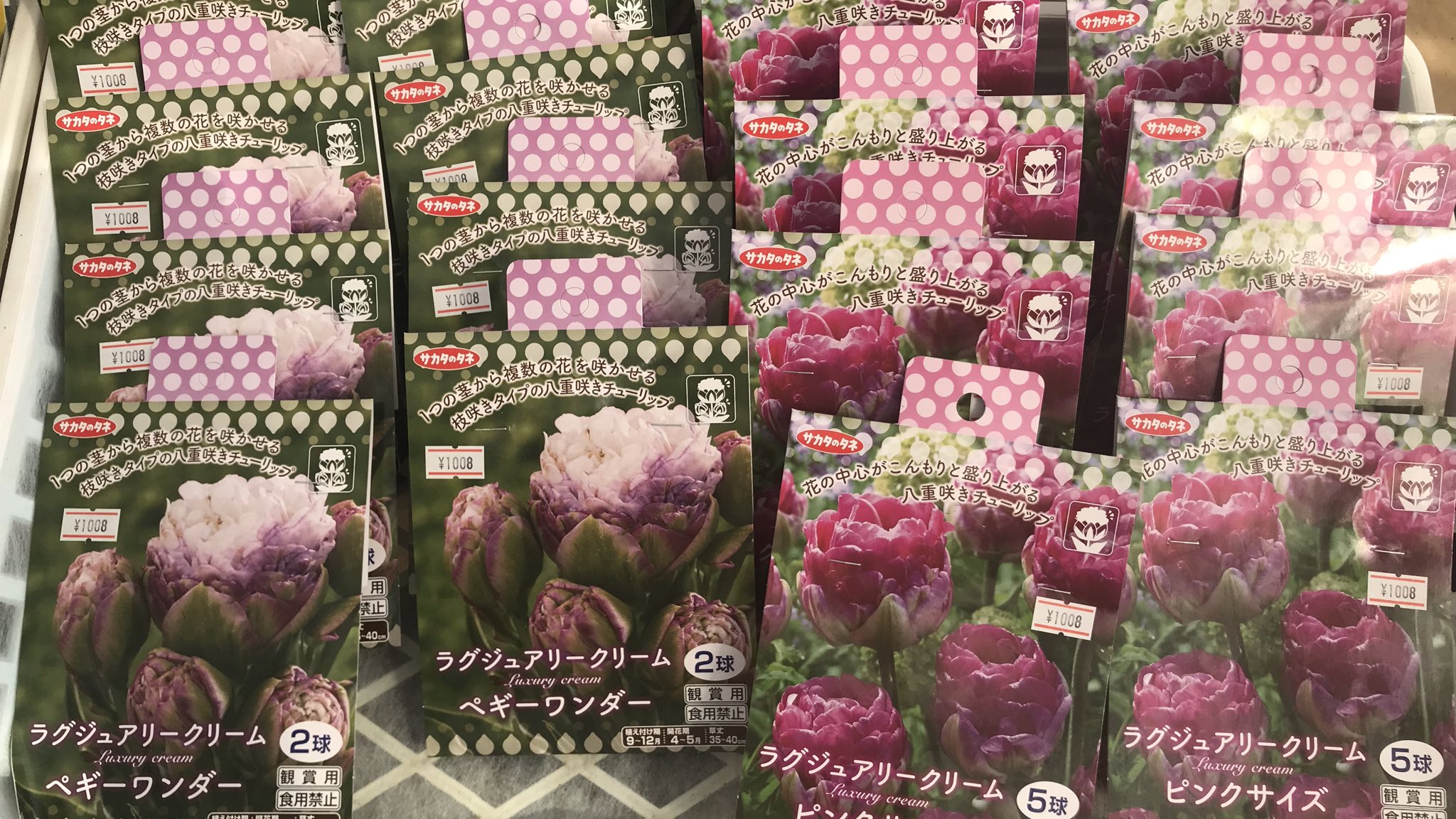 ハーブワールドａｋｉｔａ チューリップ球根 第一弾 10種類の球根が入荷しました お値段 は可愛くないですが お花はとっても可愛いチューリップたちです T Co Tkrdv6mgzl Twitter