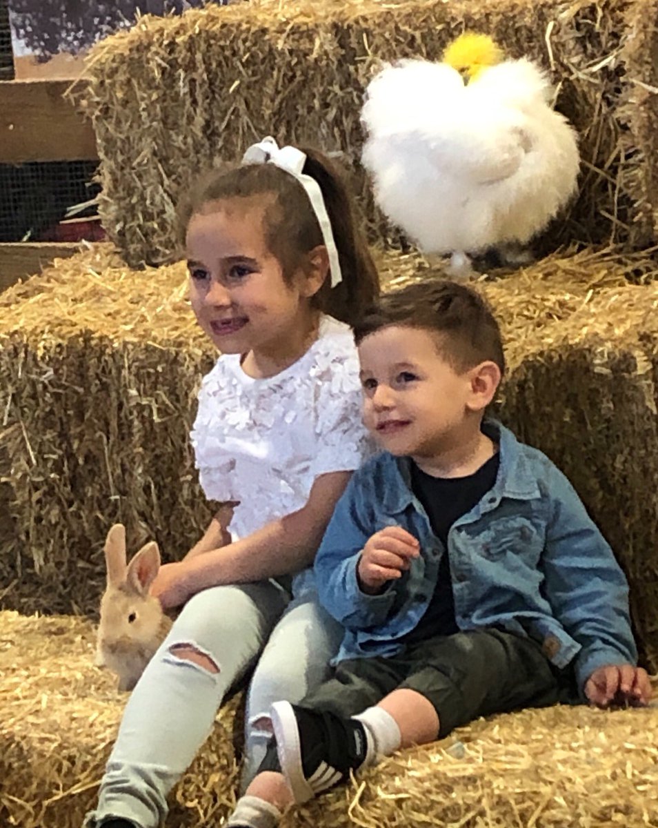 kattfusco's tweet photo. Thesis deadline is approaching, but a ‘rest’ day was much needed to draw on some motivation from these two yesterday! Back at it today👊🏼📚#royaladelaideshow #honoursthesis https://t.co/ZlShEOSc90