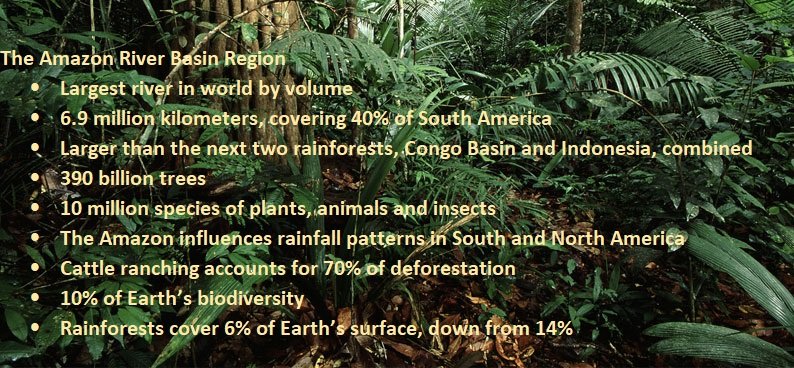 Yaleglobal The World Values The Amazon River Basin For Its Biodiversity And Cooling The Planet Brazil Fears Loss Of Control Over Resources Amazonfires Amazonrainforest Amazonrainforestfire T Co Ys287glgvs T Co Fh8zdy9hez