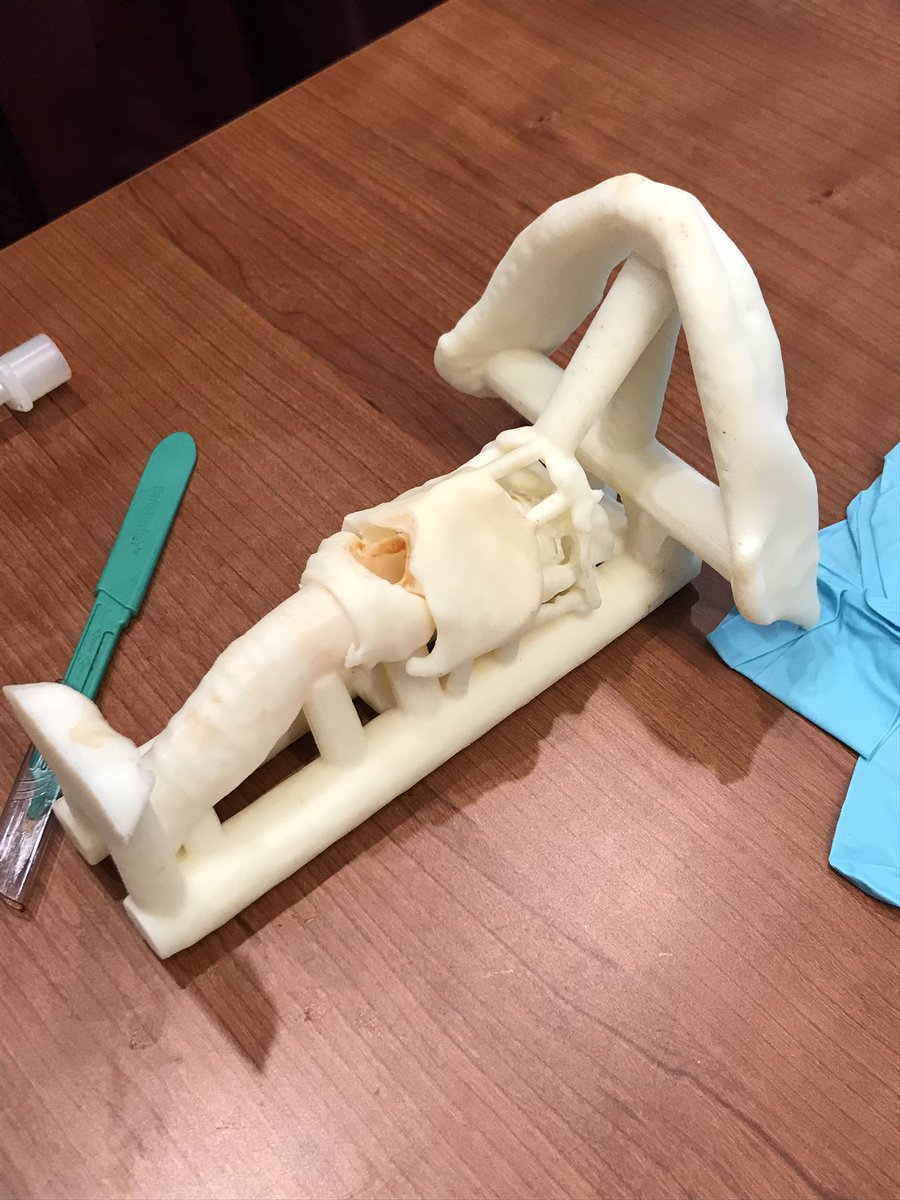 t_reed_t's tweet image. 3D printing and ketchup. Great combo for cric training @LoyolaEM! #SimEd @LoyolaHealth @LoyolaHSD