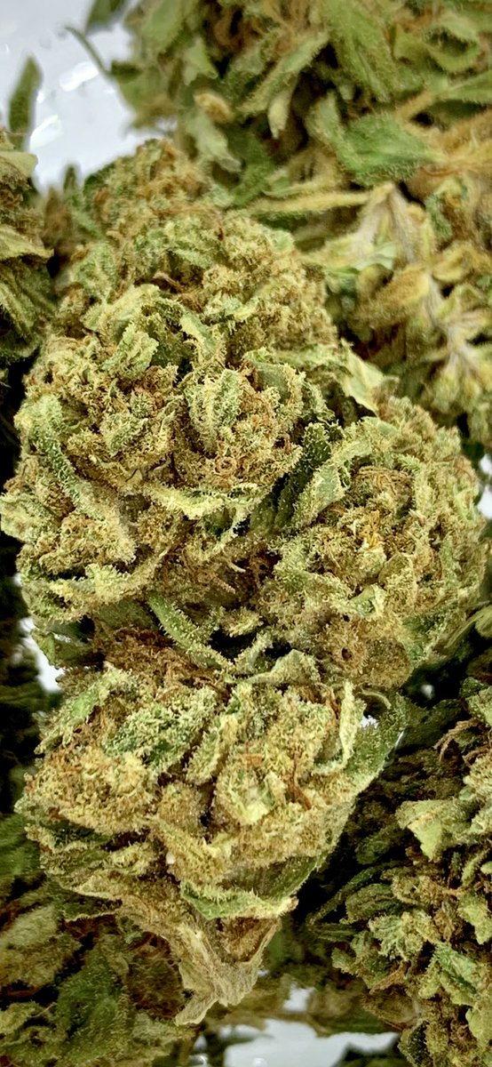 New Strain in stock! Sour Space Candy, 20.2% CBD. Check it out on our website (: