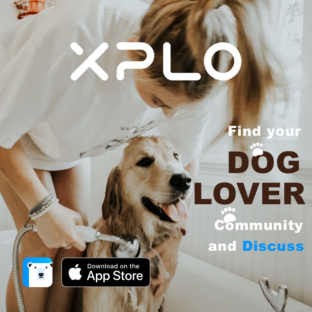 xploapp's tweet photo. 🐶Share your pics and stories of your furry friends on XPLO Dog Lover Community 
👉https://t.co/uUjXorhh9s
 #dogs #pets #cute #puppylove #puppies #app #XPLO #iOS13 https://t.co/2s66p6TKHM
