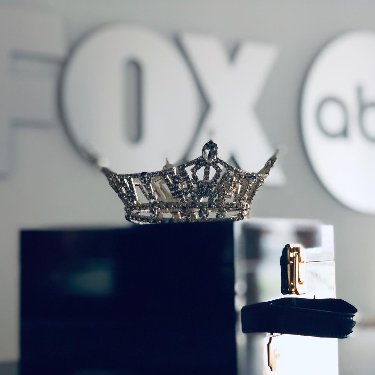 MissIllinoisOrg's tweet photo. @MissAmericaIL is on a statewide media tour to promote her #IncludeTheArts campaign! You can learn more about her goals and how YOU can get involved by visiting her website, https://t.co/nkC1NDnqoE https://t.co/SegdyabC4q