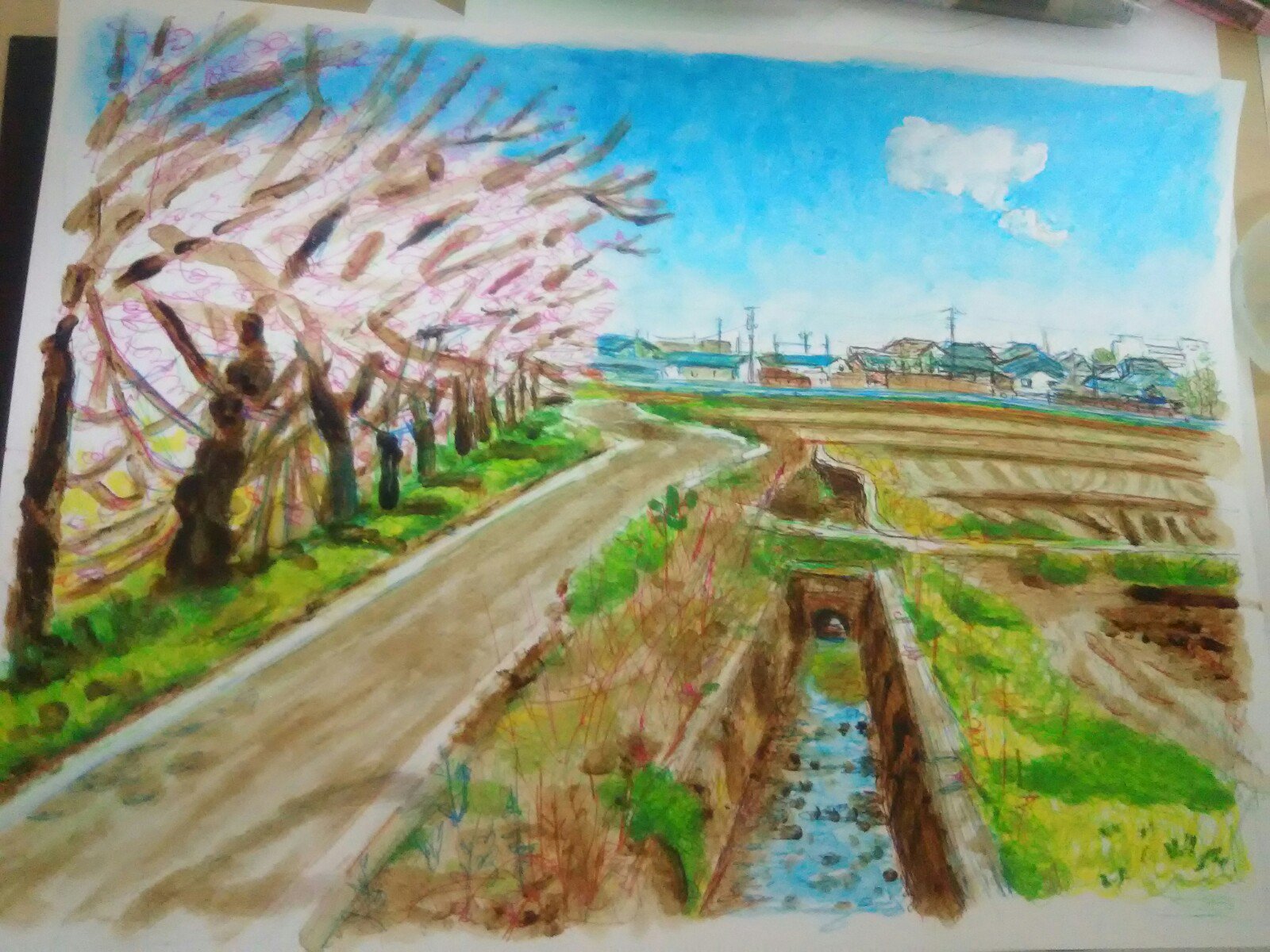 ねこい 12月6日 11日まで新潟美術学園ギャラリー展示会に参加しています 本日のイラスト紹介 季節はずれですが ご注文品の 桜並木です モンゴル支援の方が日本の風景として日本語学校へ持って行くそうで楽しみです イラスト アナログイラスト