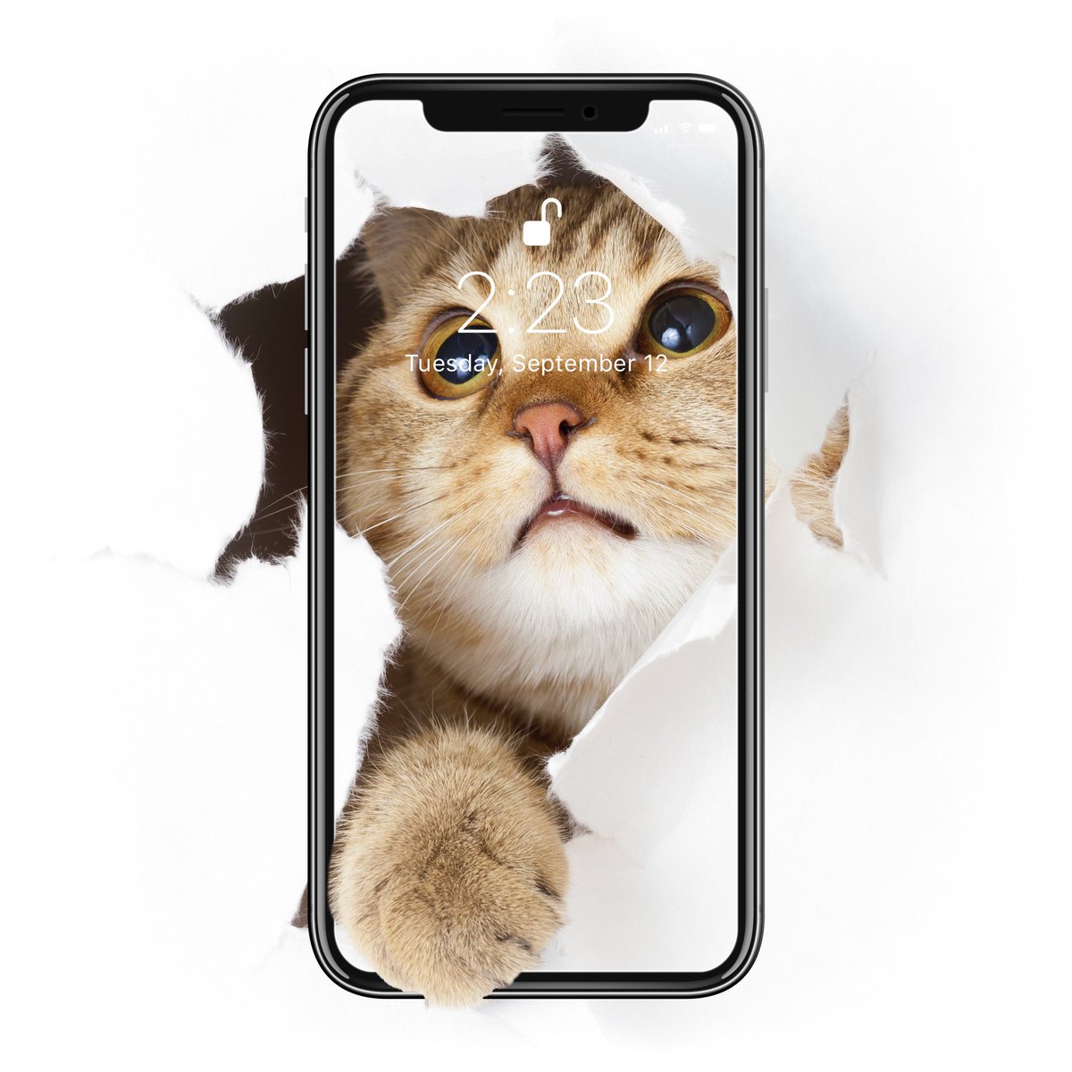 Everpix Say Hi To World Funny Wallpapers Are Waiting For You In The App Wallpapers Wallpaper Tumblrwallpaper Fondi Fondosdepantalla Hintergrundbilder Funnywallpapers Funnycats Hiworld T Co 7kzz1e74i4