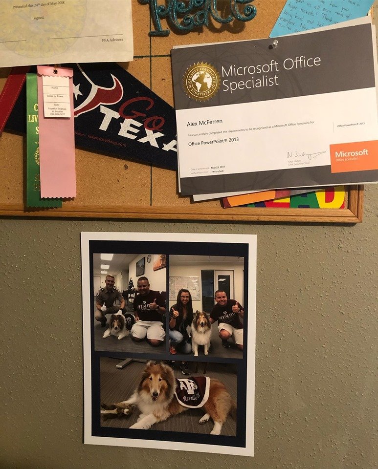 Made a picture board from when I met <a href="/reveille/">Reveille X</a> back in July (even gave one to Miss Rev as a gift). Hung this board up by my awards and accomplishments throughout the past few years.