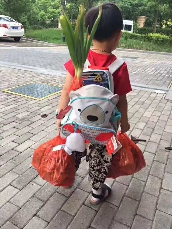Quiz time! Why did these two students carry leeks in their schoolbag on the first day of school? #FirstDayOfSchool2019

A. They go to a culinary arts school
B. They have leeks for lunch
C. They wish for good luck in the new semester