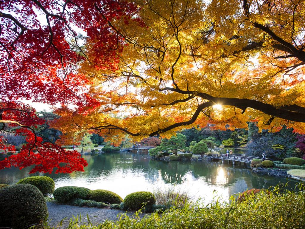 ApplePr0ductFan's tweet photo. #apple Is fall actually the best time to take a vacation? From stunning foliage to uncrowded adventures (and did we mention the unbeatable deals?), here’s why our editors are dreaming of autumn travel: https://t.co/4RvGuYVGVu https://t.co/oSabRpIeSj