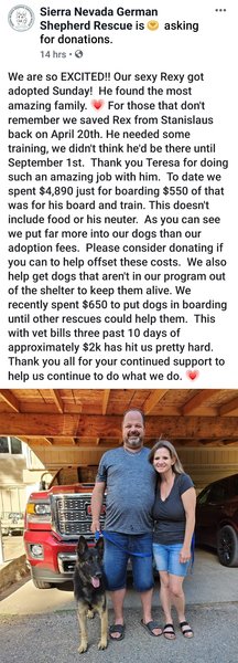 Transferred then Adopted! #dog #Rex_STSLCA_20  getpet.info/Rex_STSLCA_20