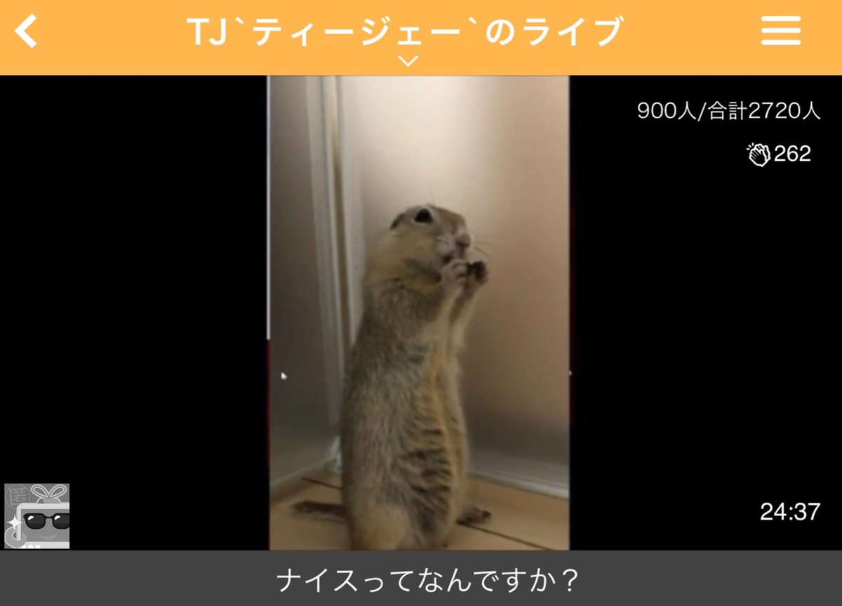 ふわっち監視員 On Twitter Tj リスを飼う 手が可愛いんだ