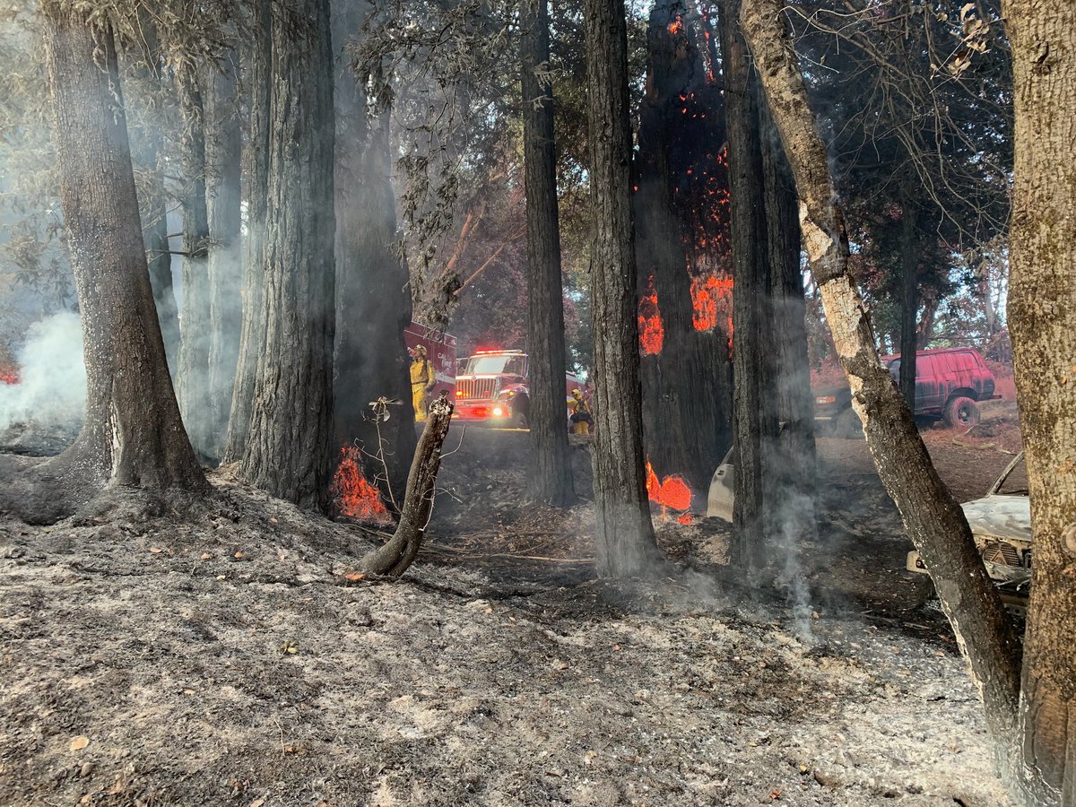 CALFIRECZU's tweet image. #DeerFire [update] is being held at 10 acres, the forward progress has been stopped. Firefighters will remain at scene overnight. Bear Creek Road will be re-opening later this evening.
